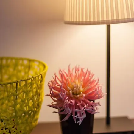 ベッド・アンド・ブレックファスト Casa De Janeiro *